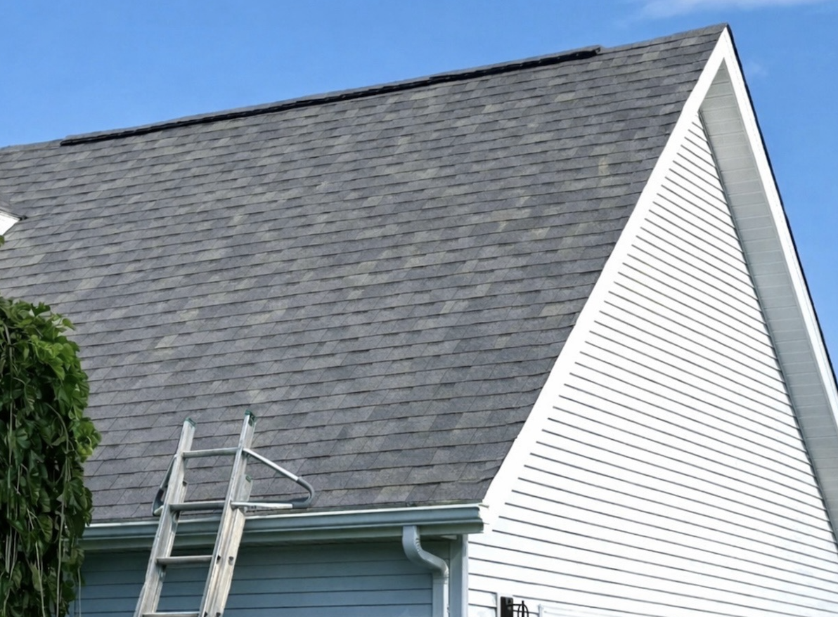 Roof Washing after: White house roof wash